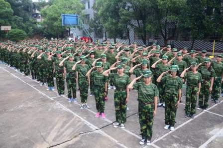 迪育橋職校網(wǎng)