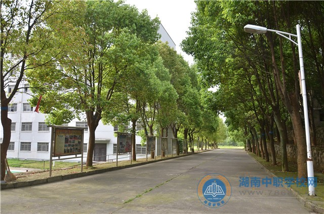 迪育橋職校網(wǎng)
