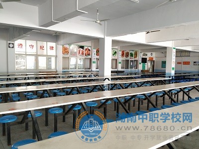 迪育橋職校網