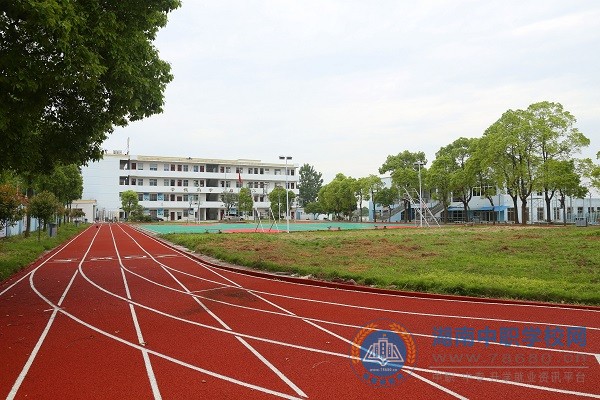 迪育橋職校網
