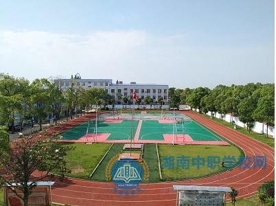 迪育橋職校網
