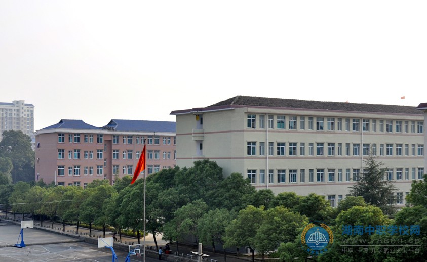 迪育橋職校網