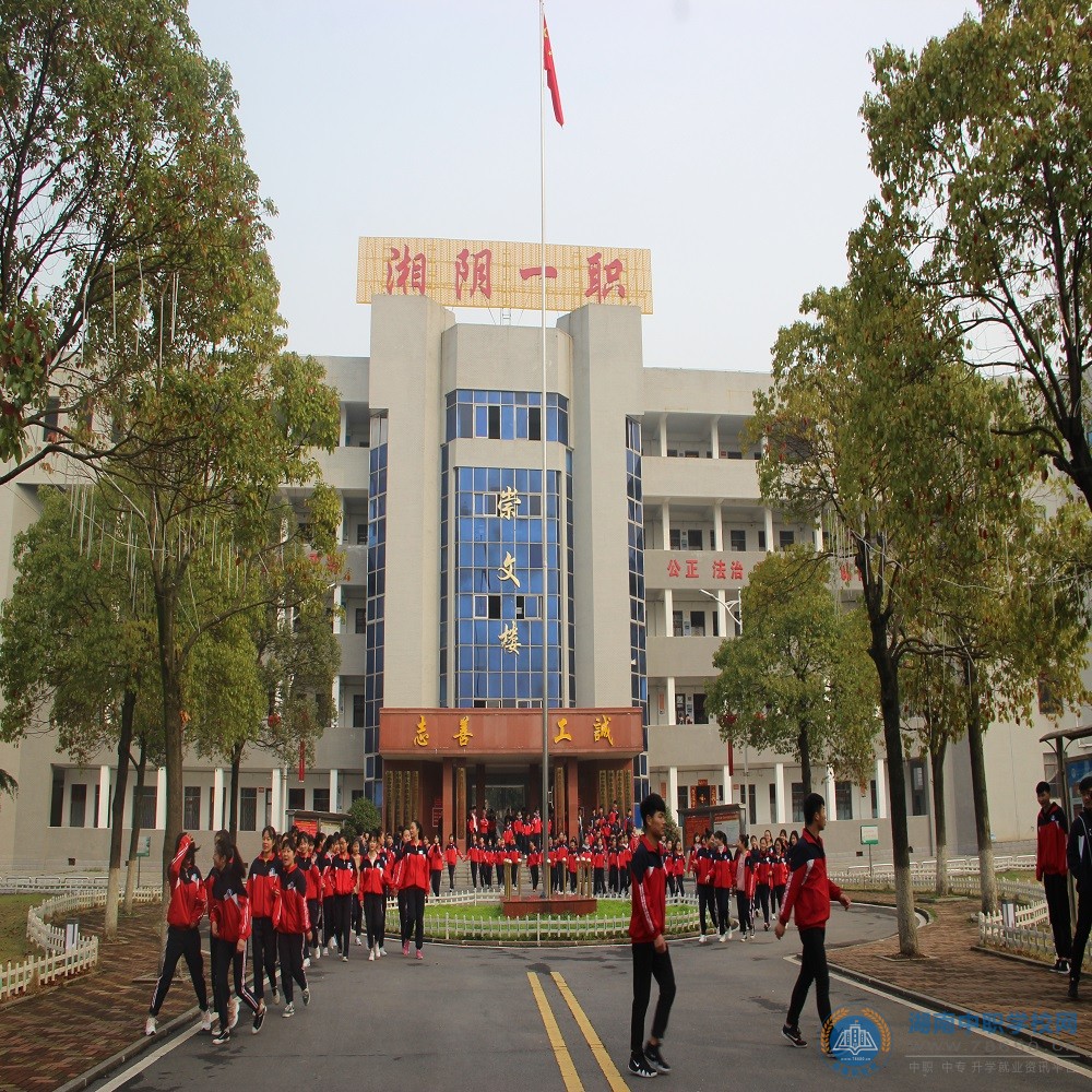 迪育橋職校網