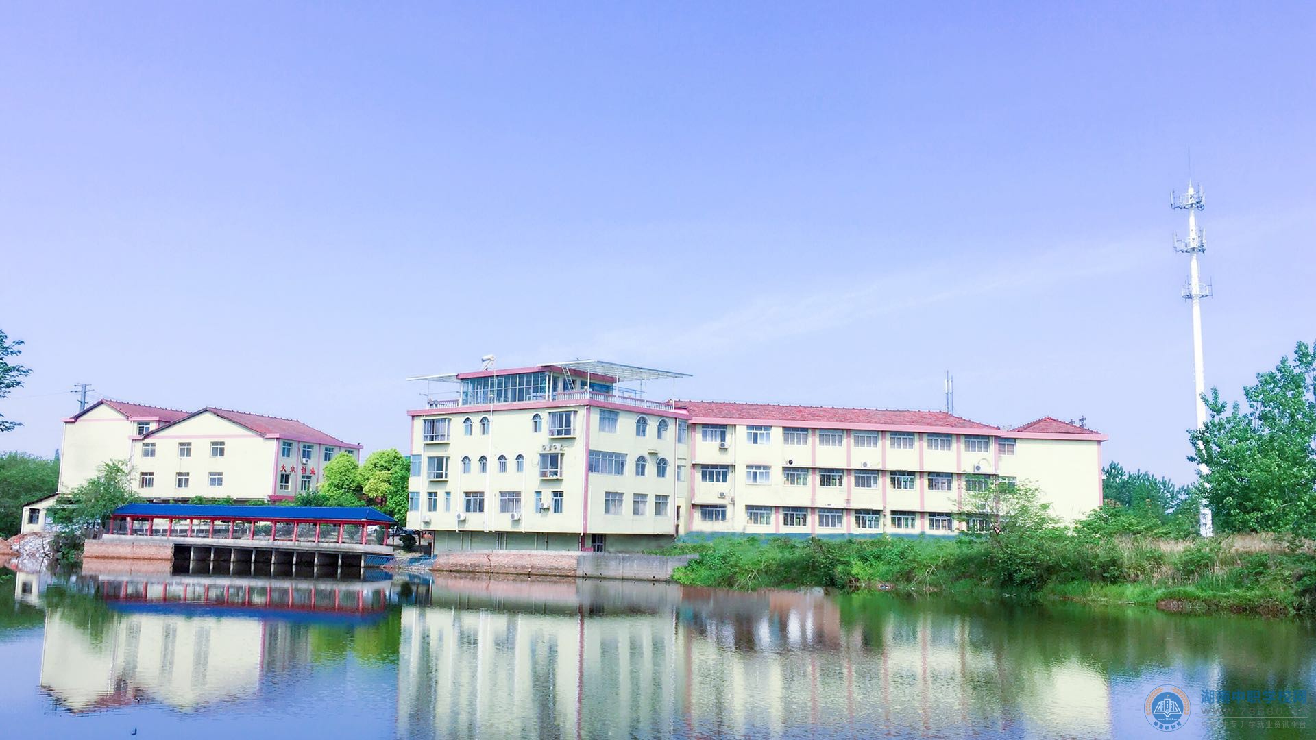 迪育橋職校網