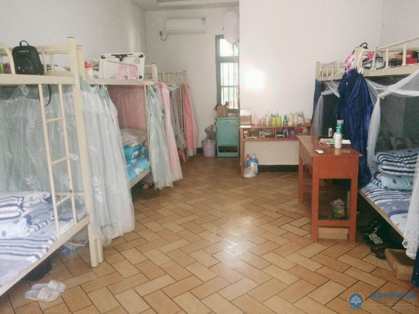 迪育橋職校網