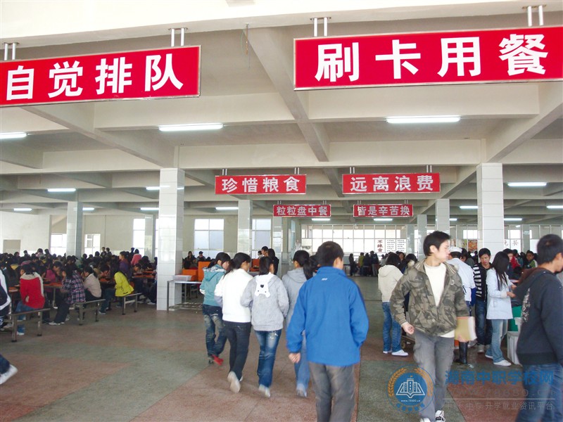 迪育橋職校網