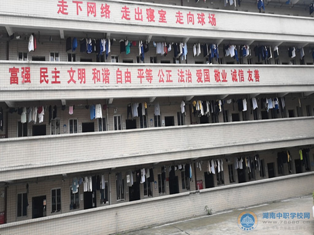 迪育橋職校網