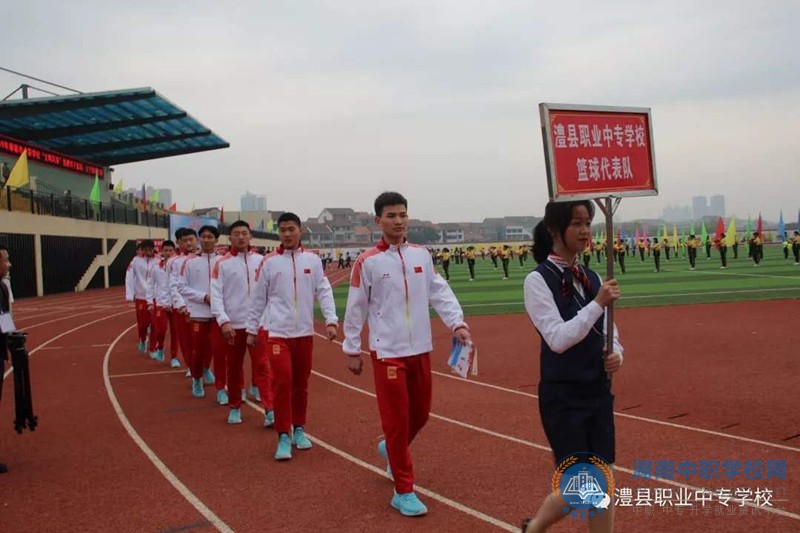 迪育橋職校網
