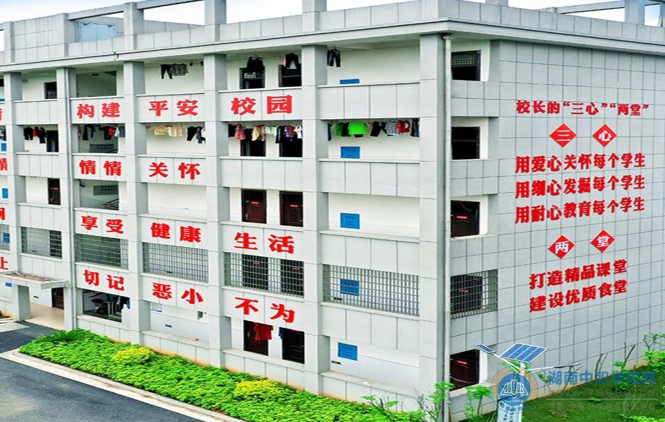 迪育橋職校網