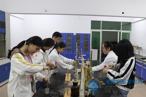 迪育橋職校網(wǎng)
