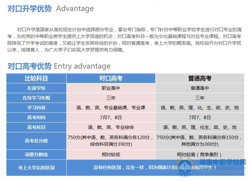 岳陽市新青年職業技術學校,岳陽軟件與信息服務,計算機應用招生,湖南中專職高學校