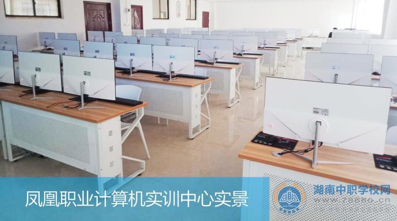 迪育橋職校網