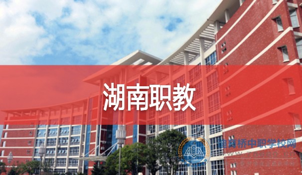 湖南：推進“楚怡行動計劃”，打造職教高地