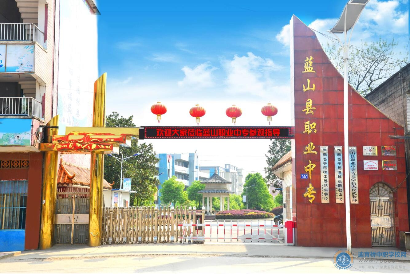 迪育橋職校網