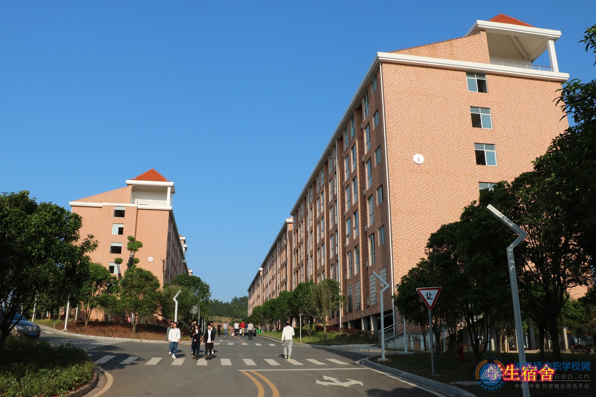 迪育橋職校網