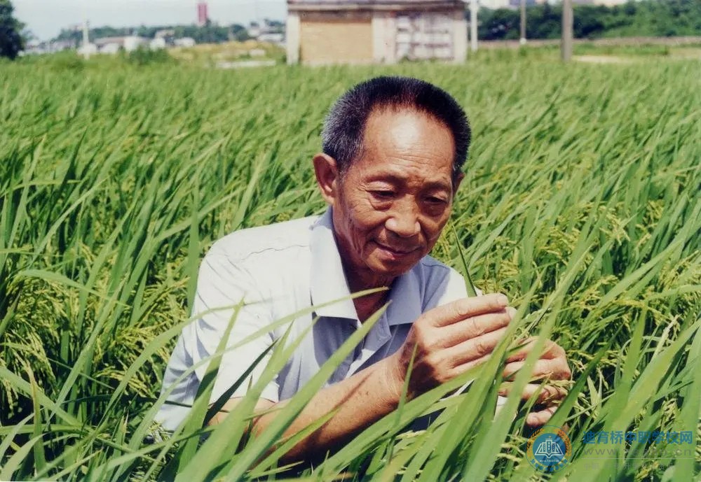 湖南中專職高學校-迪育橋職校網