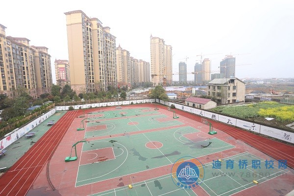 迪育橋職校網