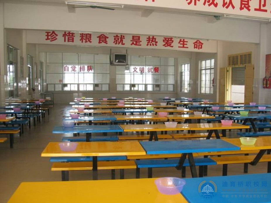 迪育橋職校網