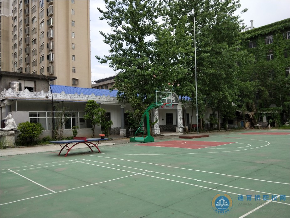 迪育橋職校網
