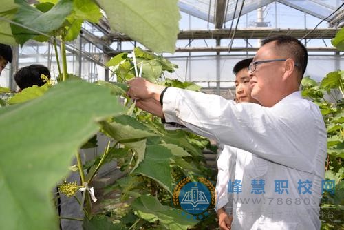 農機設備應用與維修