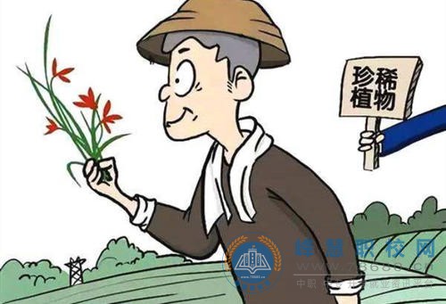 植物保護