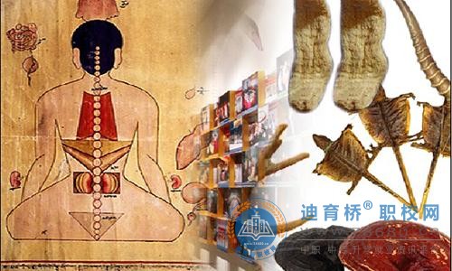 藏醫(yī)醫(yī)療與藏藥